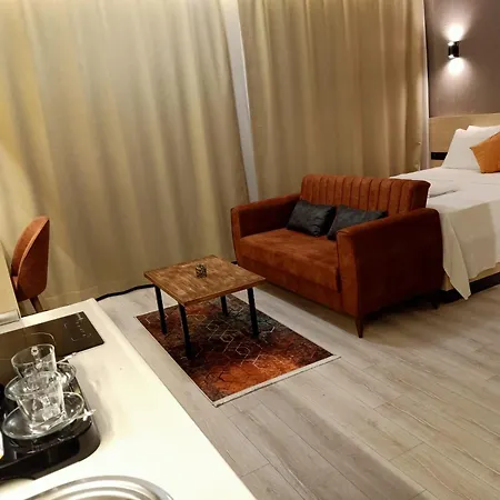 Dogan Palace 호텔
